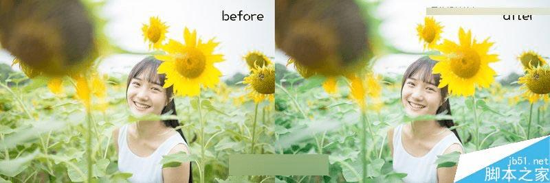 怎么样在ps中把向日葵中的女孩调出唯美日系暖色调效果?