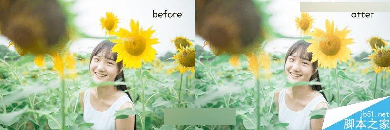 怎么样在ps中把向日葵中的女孩调出唯美日系暖色调效果?