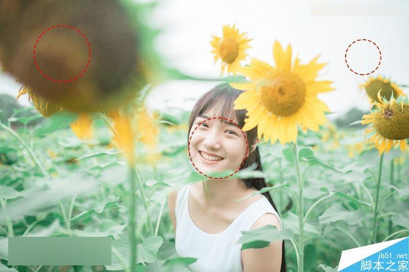 怎么样在ps中把向日葵中的女孩调出唯美日系暖色调效果?