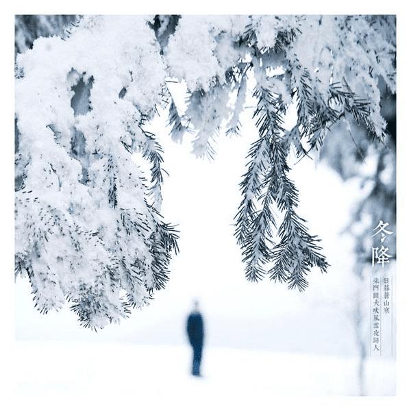 怎么样有技巧地在雪天里拍照?