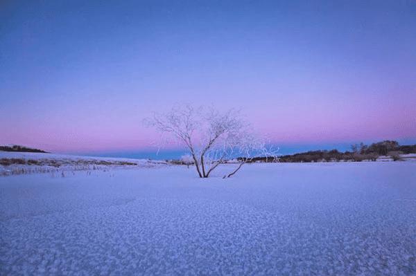怎么样有技巧地在雪天里拍照?