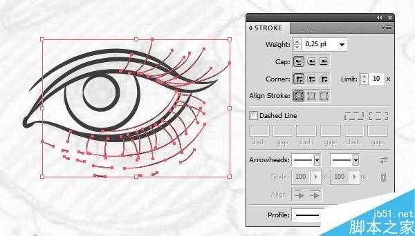 怎么样在AI中绘制漂亮得印第安女人头像插画?