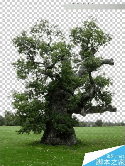 怎么样在ps中合成海洋巨龟驮着岛在水上漂浮的效果图?