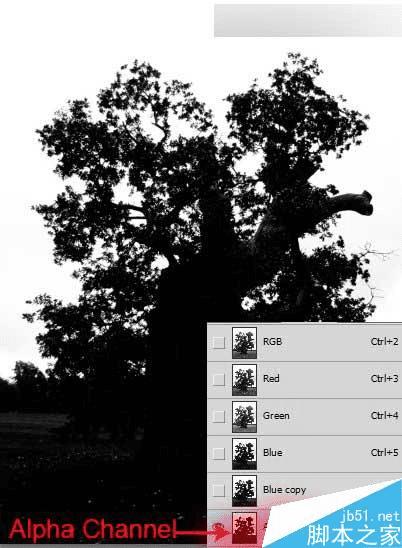 怎么样在ps中合成海洋巨龟驮着岛在水上漂浮的效果图?