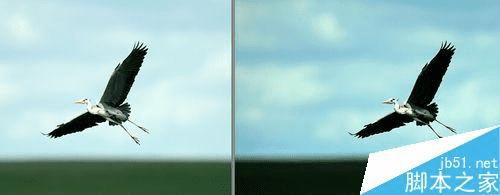 光影魔术手使用色阶的技巧