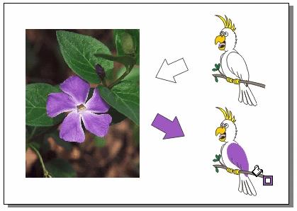 怎么样使用CorelDRAW交互式填充工具?
