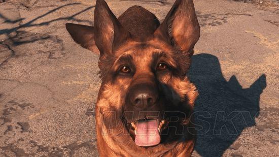 如何使用辐射4高级配件?