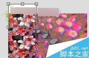 怎么样使用CorelDRAW X3裁切工具?