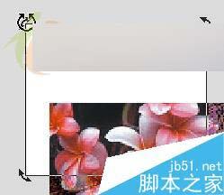 怎么样使用CorelDRAW X3裁切工具?