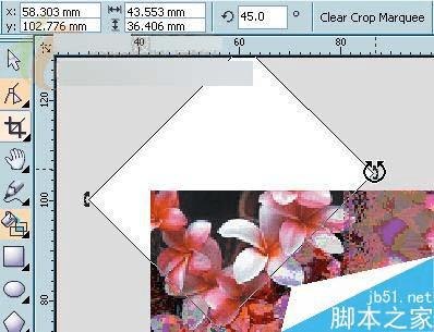 怎么样使用CorelDRAW X3裁切工具?