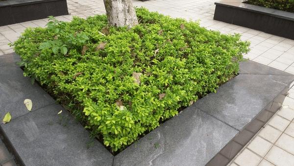 三星Galaxy On7的性能如何?