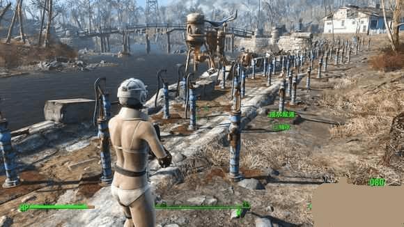 卖辐射4纯水的技巧