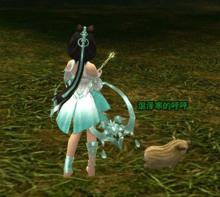 获取剑网3宝洞永久宠物猪呼呼的技巧