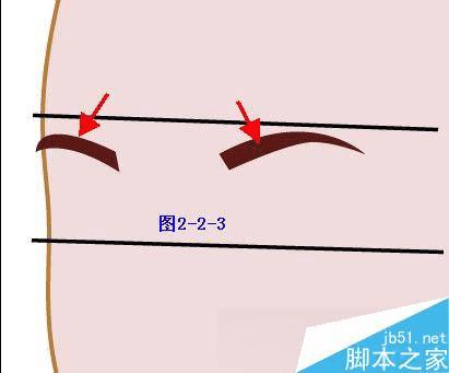 怎么样在AI中绘制清纯女孩插画?