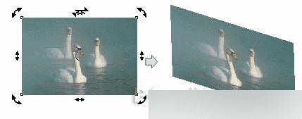 怎么样在CorelDRAW处理中处理12中的位图?