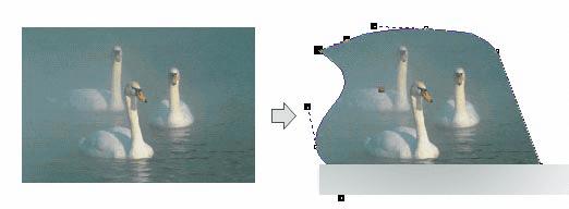 怎么样在CorelDRAW处理中处理12中的位图?