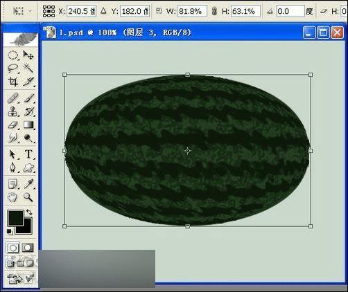 怎么样在PS中鼠绘超逼真的半边红西瓜?