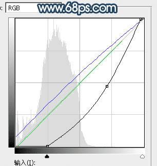 在ps中调制出暗蓝秋季色树林人物图片的办法
