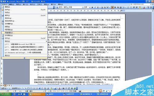 设置word文档的上下左右边距的步骤