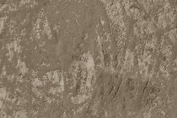 如何能够在ps中设计制作非常有趣的秋季树叶字?