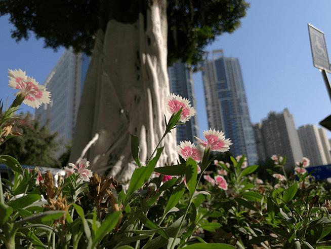 华为Mate8拍照的功能及像素如何?