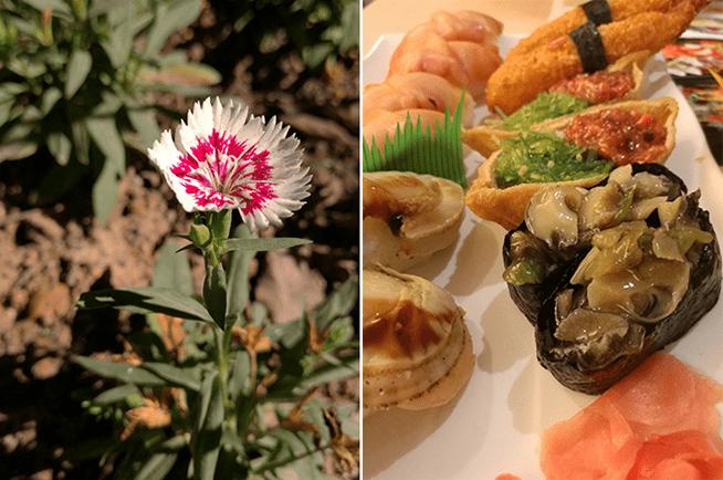 华为Mate8拍照的功能及像素如何?