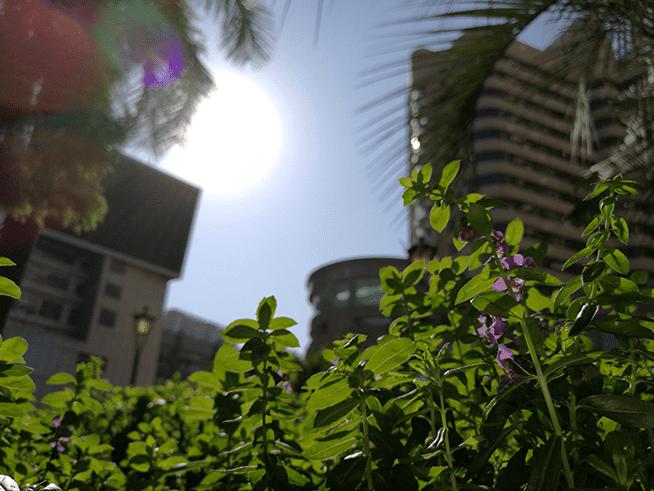 华为Mate8拍照的功能及像素如何?