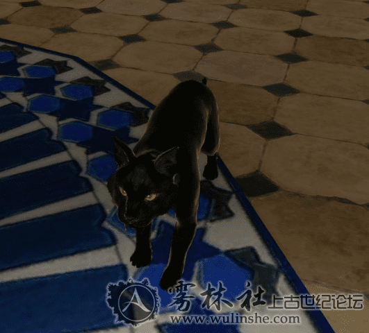 上古世纪战宠黑猫的来源在哪?