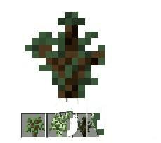 在我的世界0.13.1种树的技巧