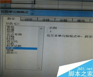 在excel中输入并让它显示出来的步骤