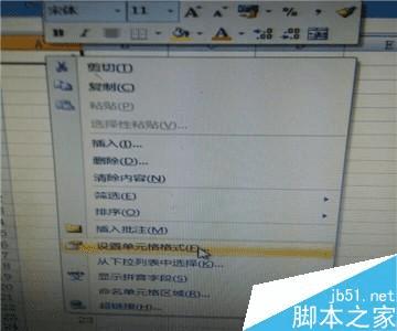 在excel中输入并让它显示出来的步骤