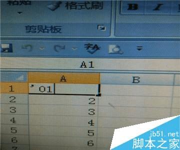 在excel中输入并让它显示出来的步骤