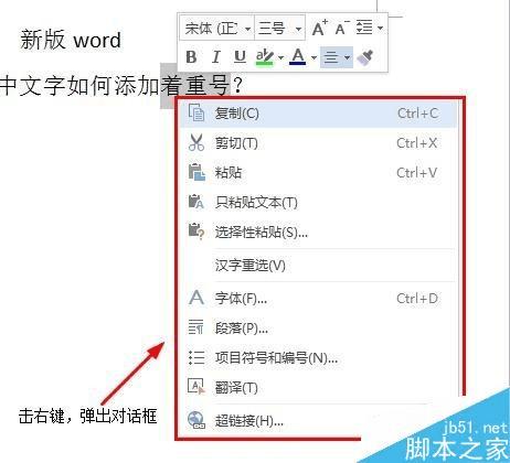 在word文档中给文字添加着重号的步骤