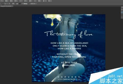 PSпٿٳͼƬϵlogoķ