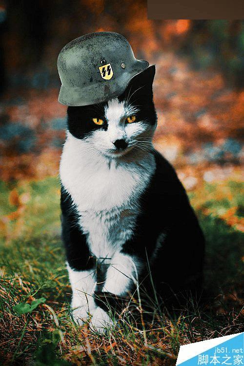 ôʹPhotoshop 3DLUTͨ͸èͼƬ