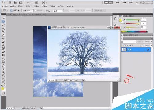 如何在PS中合成在白云中的大树?
