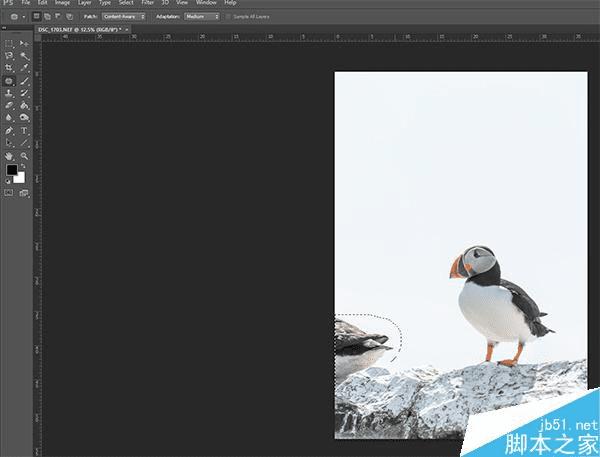 如何在PS中识别工具?