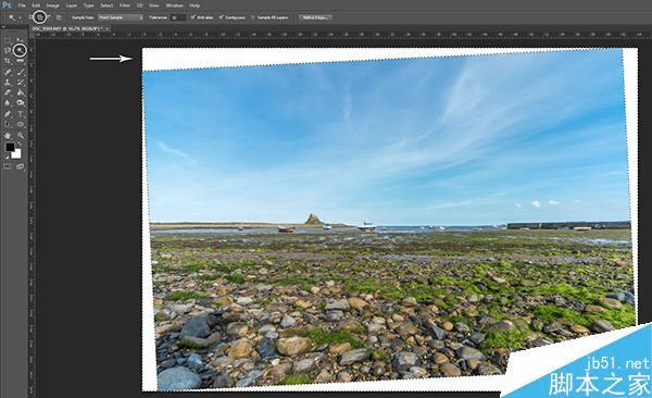 如何在PS中识别工具?