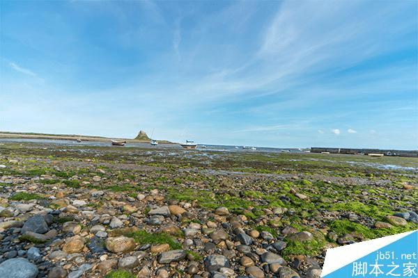 如何在PS中识别工具?