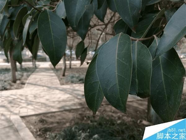 怎么样优化小米5与Mate8传感器?