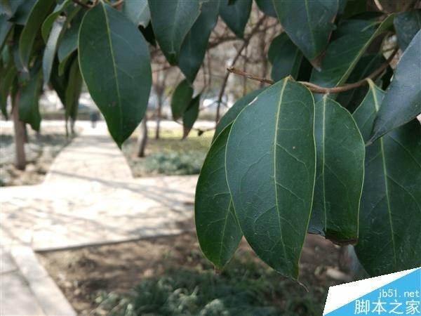 怎么样优化小米5与Mate8传感器?