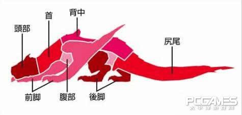 怪物猎人ol轰龙破坏位置的详细介绍