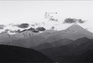 ȷʹNikon Capture-NX