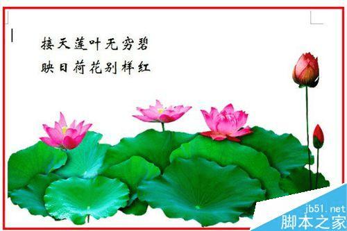 在word文档实现图文并茂生动形象的方法步骤