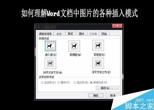如何在Word文档中插入各种模式的图片?