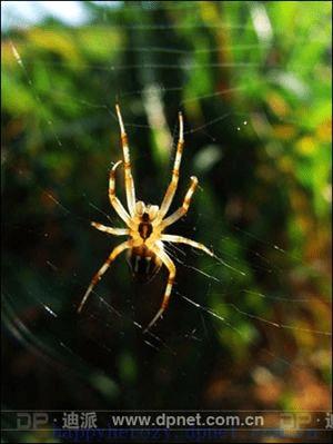 �����Ӱ��ѧϰ����