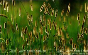 �����Ӱ��ѧϰ����