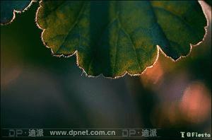 �����Ӱ��ѧϰ����