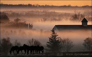 �����Ӱ��ѧϰ����