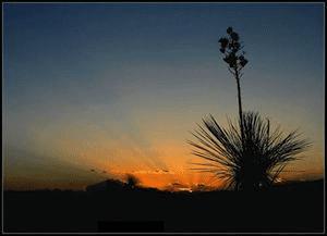 �����Ӱ��ѧϰ����